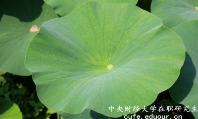 2018年中央財(cái)經(jīng)大學(xué)在職研究生可以獲得雙證嗎？